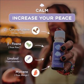 CALM - 5 Pack | Vanilla Chai & Lavender Wellness Shots for Stress Relief & Relaxation | Terpene-Infused Sleep Supplement for Calm, Restful Support