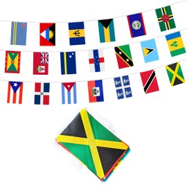 Caribbean 20 Countries Banner Flag String, 20 International Country Mini Flag Small Banner for Classroom, Party, Shops and Bars Decorations, Outdoor Decorations, Indoor Decorations (1 Pack)