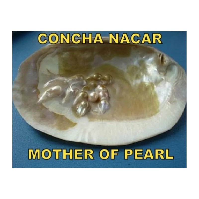 Crema Colágeno Y Concha Nácar Regeneración Celular Arrugas Todo Tipo