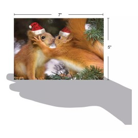 The Best Card Company - 12 Tarjetas De Navidad En Caja Con S