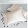 Satin Pillow Cases 2 Pack, GVTECH Pillowcase for Hair and