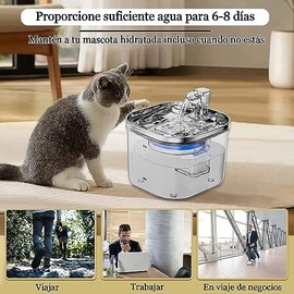 JIJO Bebedero para Gato, 304 Acero Inoxidable Fuente para Gato, 67oz2 L                                                                               