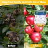 2026 New Wasp Traps Outdoor Hanging with LED Light, 4