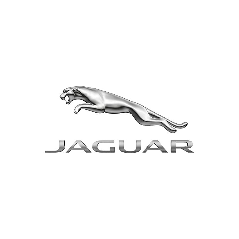Genuine Jaguar C2Z4729 - Vacuum Hose