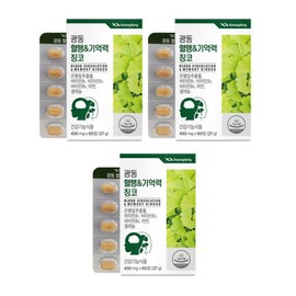 Guangdong Life & Health Guangdong Blood Memory Ginkgo 60 tablets / 광동생활건강 광동 혈행기억력 징코 60정 X 3개 은행잎추출물 소형정제 아연 셀레늄