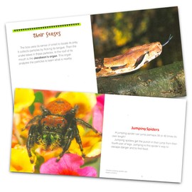 Know-It-All Educational Nature Books for Kids Toddlers -- Assorted Set of 9 Books About Wild Animals (Sharks, Spiders, Dinosaurs, Snakes, More)