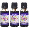 Flavour Factory Ginger, Extra Strong Food Flvouring Concentrates 85.5ml (Pack