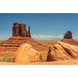 ZatiasMiller Reptile Habitat Background Monument Valley Terrarium Background Desert Canyon Gig Stones Gobi Backgrounds for Glass Container Decor Nature Landscape Aquarium Decor Vinyl 30x12in