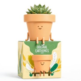 Maceta de Interior, única y Bonita Maceta de plástico con Cara, Maceta de Cactus de 3.5 Pulgadas, Regalo para Amantes de Las Plantas, Maceta Decorativa