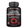 L-Theanine Green Tea Extract with Added Lemon Balm Extract and