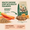 Hatortempt Dried Mealworms - 5 Lb, Non-GMO & Organic -