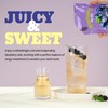 [Nokchawon] Blueberry Iced Tea Pouches 10 Packs – Refreshing Blueberry