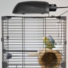 Oiibo Bird Cage Light Fixture Combo Kit, AvianSun Lamp Hood