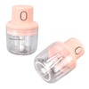 Mini Garlic Chopper Space Saving Small Size Clean Easily Simple