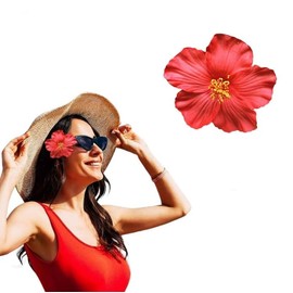 1Pc Red Hawaiian Flower Hair Clip for Women Girls,Fashion Bohemian Flowers Hair Accessory for Dancer,Bridal Wedding Beach Party,Clips and Barrettes Ornaments Small in Size,Beauty and Personal Care