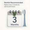 10 Pack Replacement Toothbrush Heads Compatible with Suri Sonic Electric