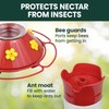 Perky-Pet 209B-1SR Glass Hummingbird Feeders for Outdoors Hanging - 30
