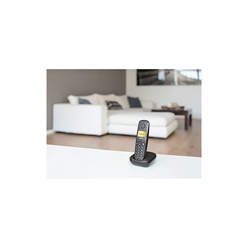 Gigaset A170 Duo Candy Bar [French Version]