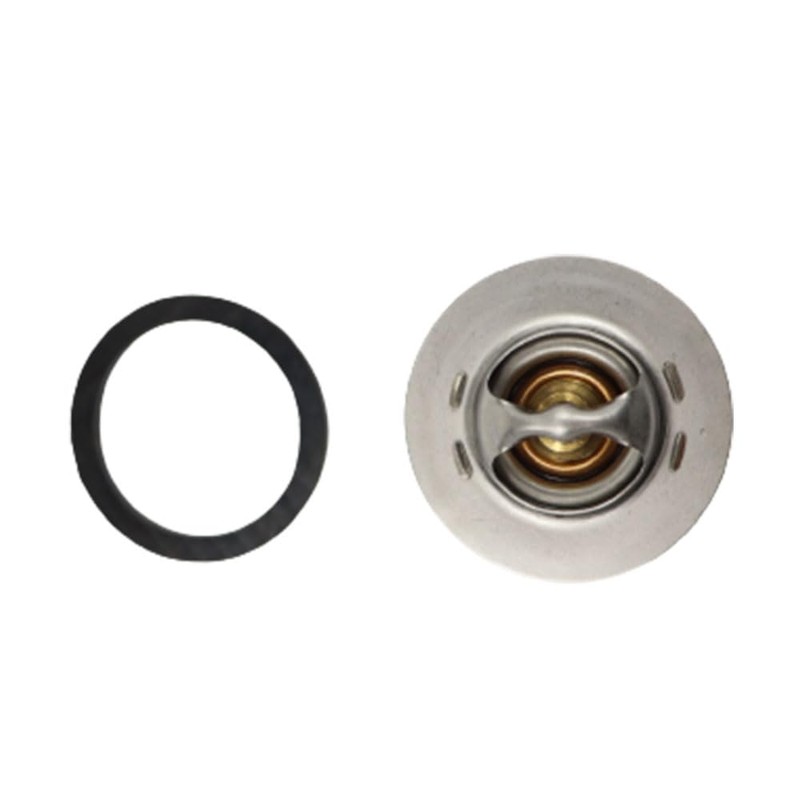 DELEYAPARS 006719F Unitherm Pool SPA Governor