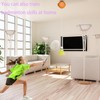 Training Device Self-Learning Device, 3 Pieces Ball Single Badminton Exercise