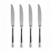 Bistro Solid Handle Steak Knife Set (Set of 4)