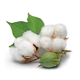 Le Petit Marseillais Cotton Milk and Cocricot Shower Cream French 22.0 fl oz (650 ml) Body Wash