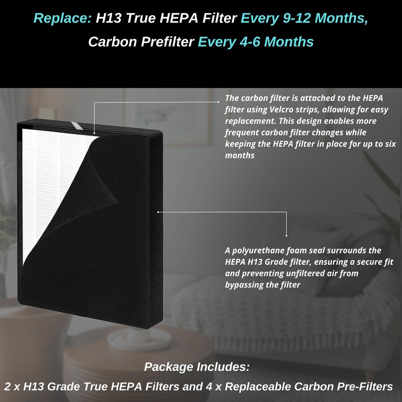 2 pack - BF35 True Hepa Filter Replacement - for