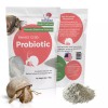 Snout and Shell Hermit Crab Probiotic - 4 oz -