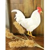 Craig Bachman 12" Metal Rooster Hanger: White - Wall or