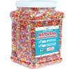 Dye-Free Rainbow Sprinkles – 2.2 LB - Natural Vegan Baking