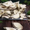 산그리메 국내산 뽕나무 약초 300g Sangrime Domestic Mulberry Herb 300g