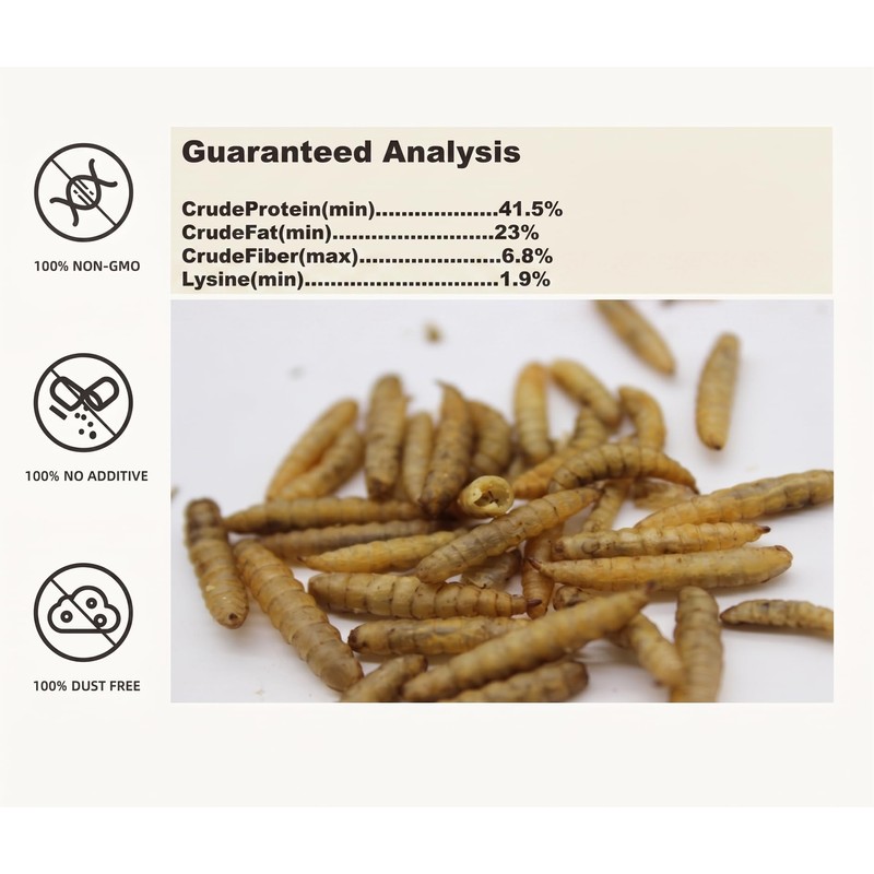 Qinyurj Dried Black Soldier Fly Larvae, High Protein Chicken Treats,5LB