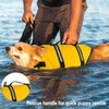 FainFun Dog Life Jacket, Orange, for Small and Large Dogs,