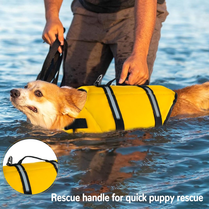 FainFun Dog Life Jacket, Orange, for Small and Large Dogs,