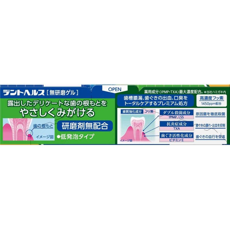 Dent Health Medicinal Toothpaste, Non-Abrasive Gel, For Prevention of Pyorrhea