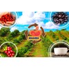Cafe Mami 14 oz, 100% Puerto Rican Ground Coffee
