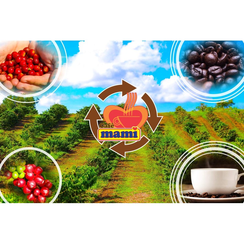 Cafe Mami 14 oz, 100% Puerto Rican Ground Coffee