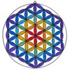 Suncatcher window decoration “flower of life” in the 7 chakra
