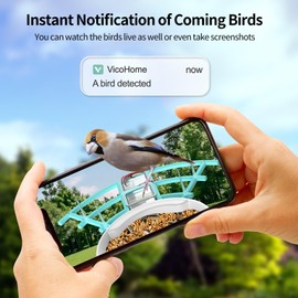 Bird Feeder with Camera,Ai Identify Bird Watching Camera,Smart Bird Feeder with Solar Powered,Auto Capture Birds Video in Backyard,Porch, Patio,Ideal Gifts for Bird Lovers