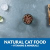 Evolve Classic Crafted Meals Chicken Recipe Cat Food (Pack of