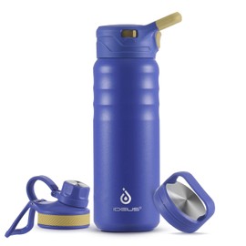 IDEUS Vacuum Insulated Water Bottle, 24 oz Stainless Steel Water Bottles with Straw and Spout Lid, Reusable Metal Water Bottle Leak Proof Gym Water Bottle, BPA-Free(Purple)