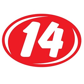 Bold Year Model Signs Black and Chartreuse, Oval, Adhesive Windshield Year Model Sign, Durable, Waterproof Vinyl EZ-Line EZ226 (White Red, 2014)