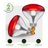 KOR 250W R40 Red Incandescent Heat Lamp Bulbs, E26 Medium