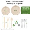 FEHHTO Compostable Paper Plates Set, 250PCS Disposable Heavy-Duty Sugarcane Plate
