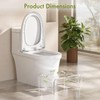 AmazerBath 7 Inches Acrylic Squat Potty, Clear Toilet Step Stool