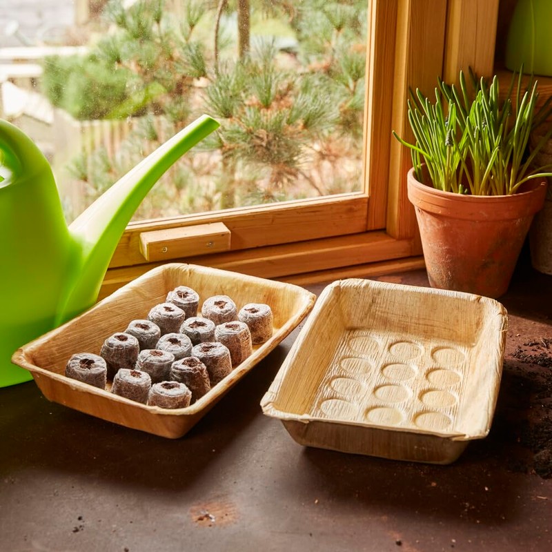Siena Garden 50 Coconut Pots with Net Diameter 35 mm