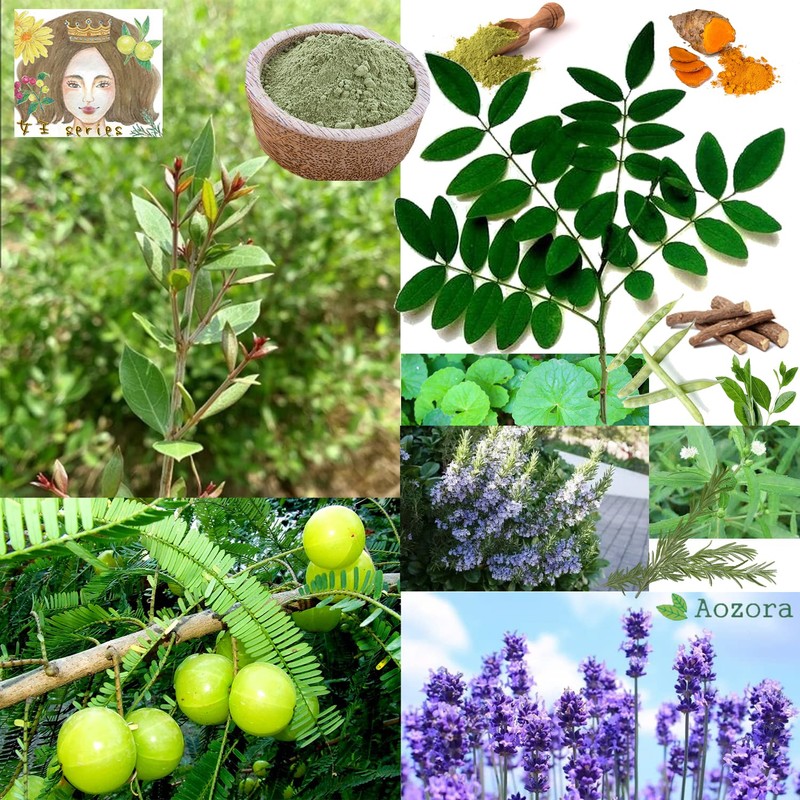 [Queen Botani Hair] Henna + Indigo + Amra Hair Good