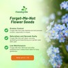 Outsidepride Blue Forget Me Not Seeds - 10000 Pcs Low
