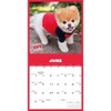 Carousel Calendars, Boo 2025 Wall Calendar
