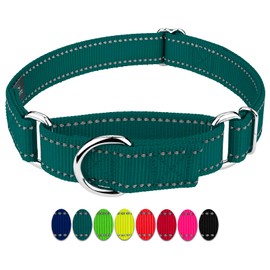 Country Brook Petz - Vibrant 8 Color Selection - Reflective Nylon Martingale Dog Collar (Large, 1 Inch, Teal)